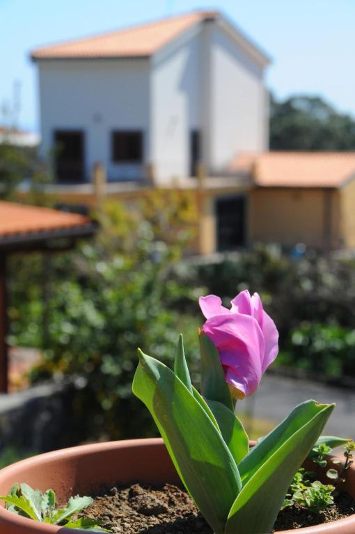 La Circumetnea Home Catania-Fontanarossai nemzetközi repülőtér Kültér fotó